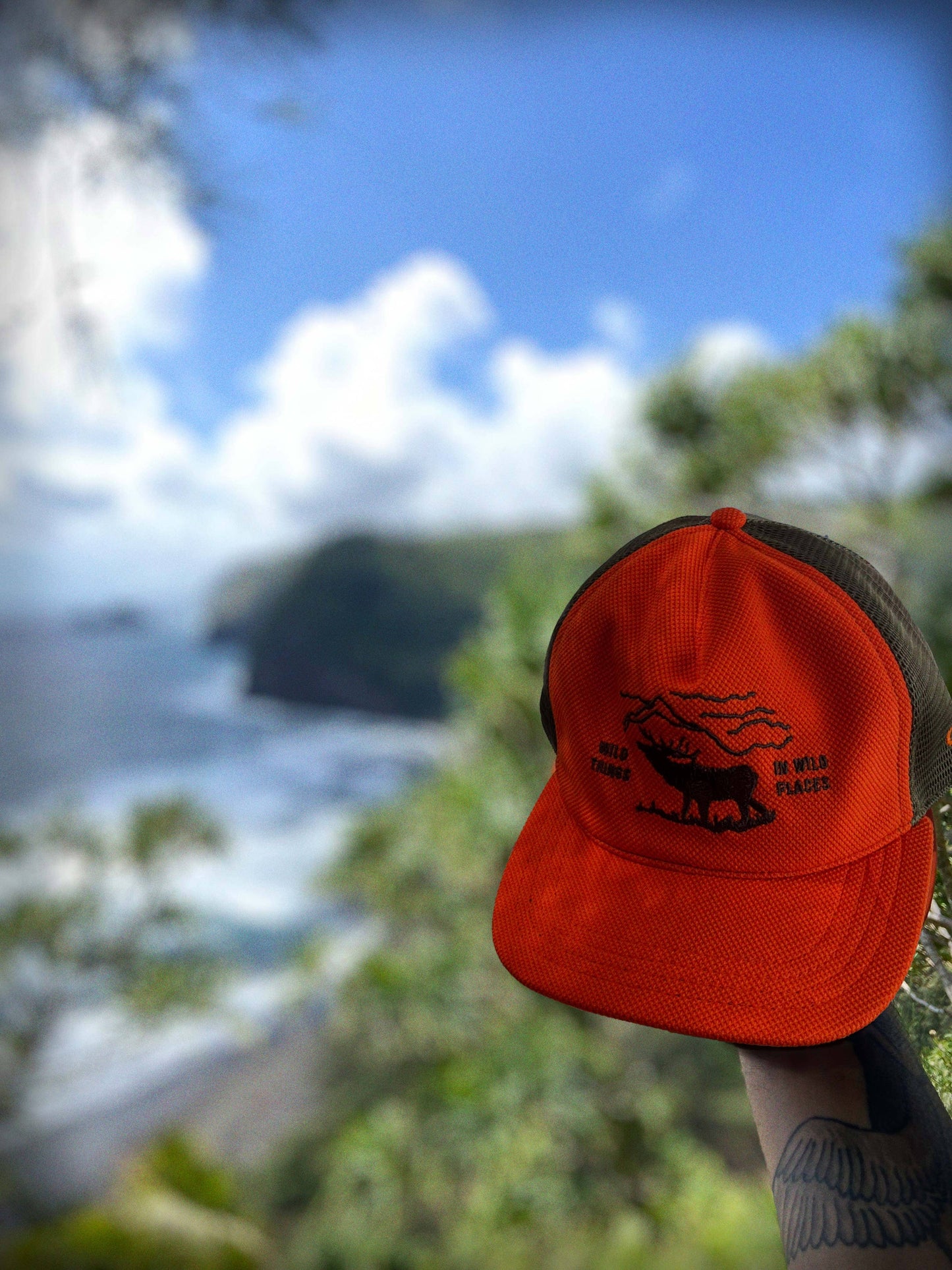 The Ampal Creative - WILD PLACES - Trucker - Orange