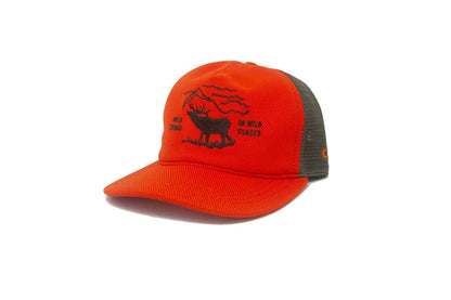 The Ampal Creative - WILD PLACES - Trucker - Orange