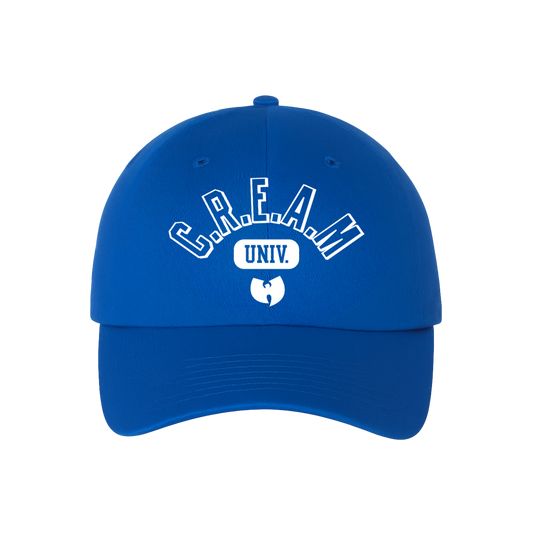 Wu tang clan - Youth C.R.E.A.M. University Dad Hat - Blue