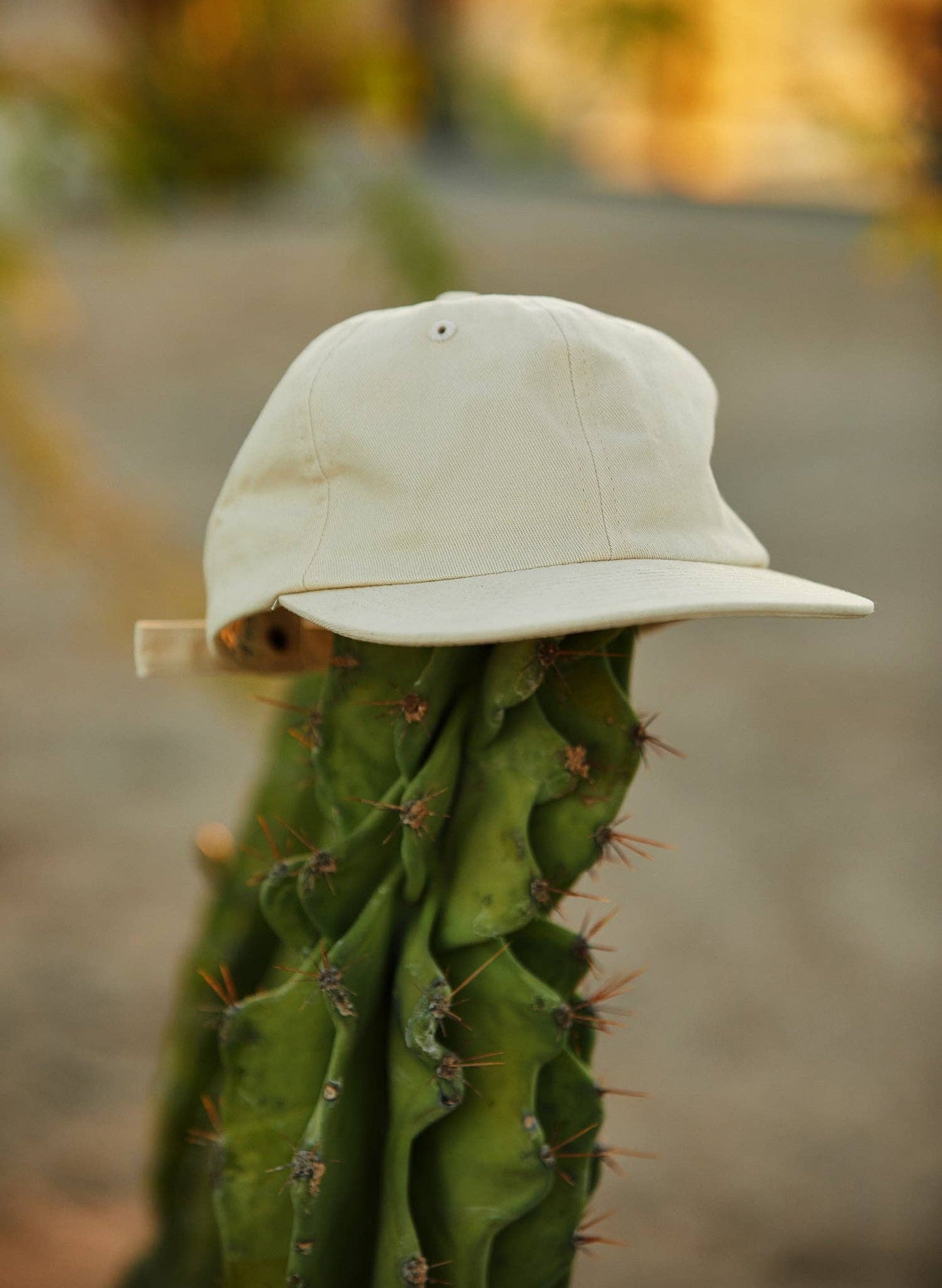 Brushed Cotton Field Trip™ Hat