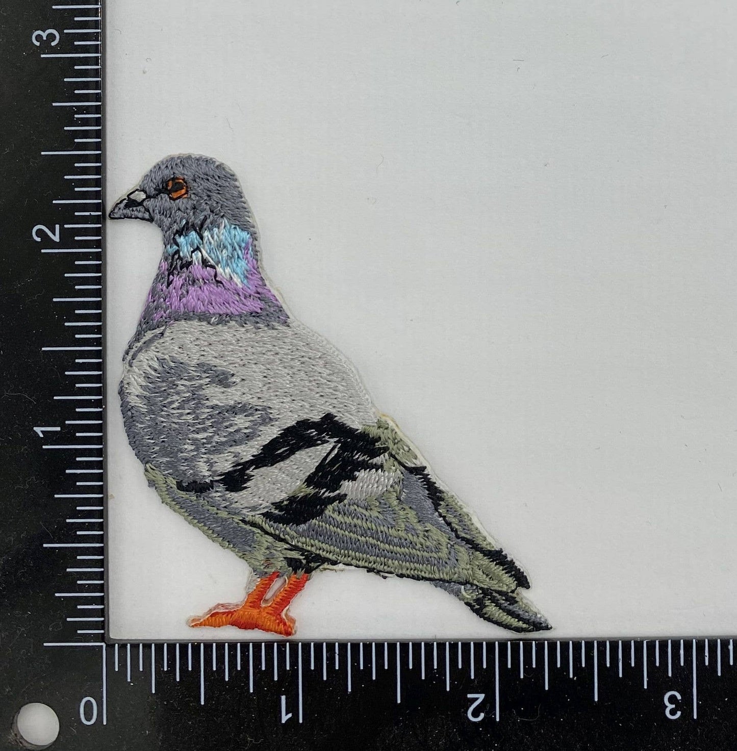 Wholesale Applique - Rock Dove Pigeon, Birds, Iron on Patch