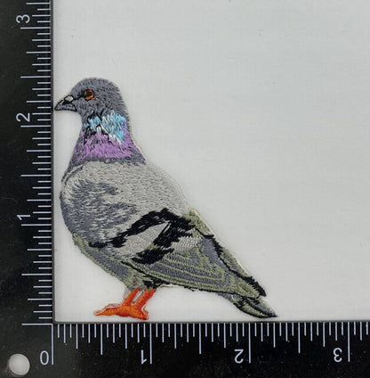Wholesale Applique - Rock Dove Pigeon, Birds, Iron on Patch